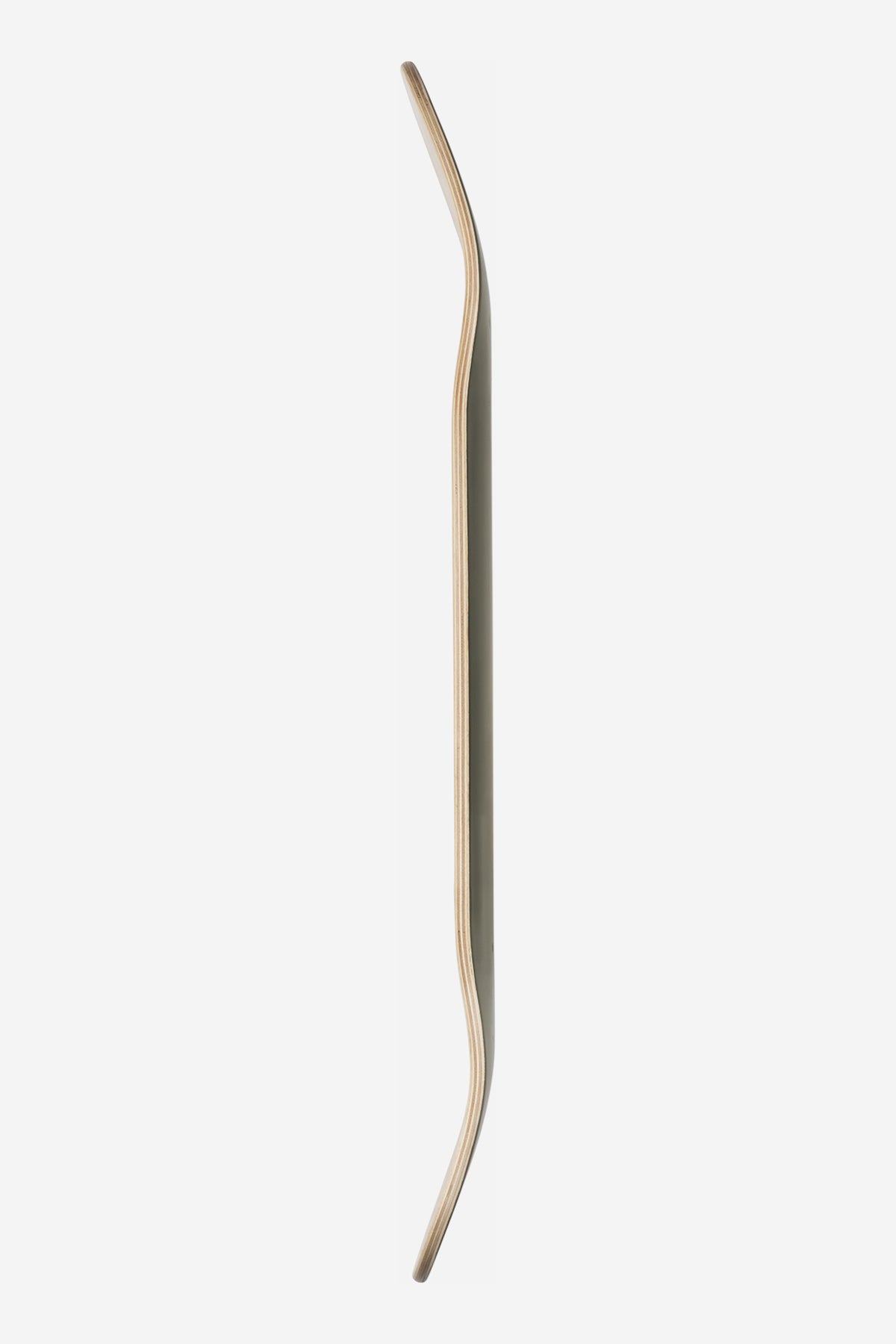 Goodstock Deck 8.25" - Globe Brand AU