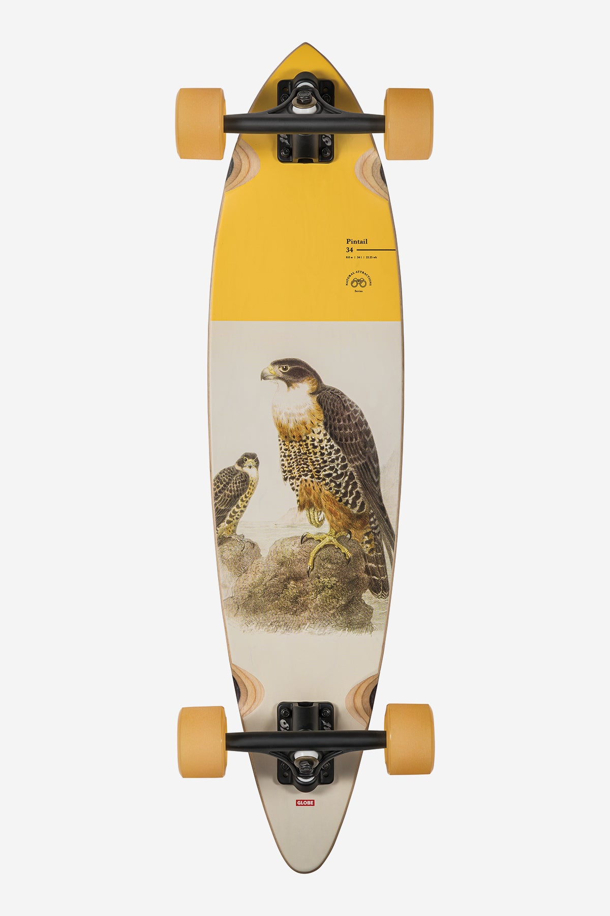 Pintail 34" Longboard