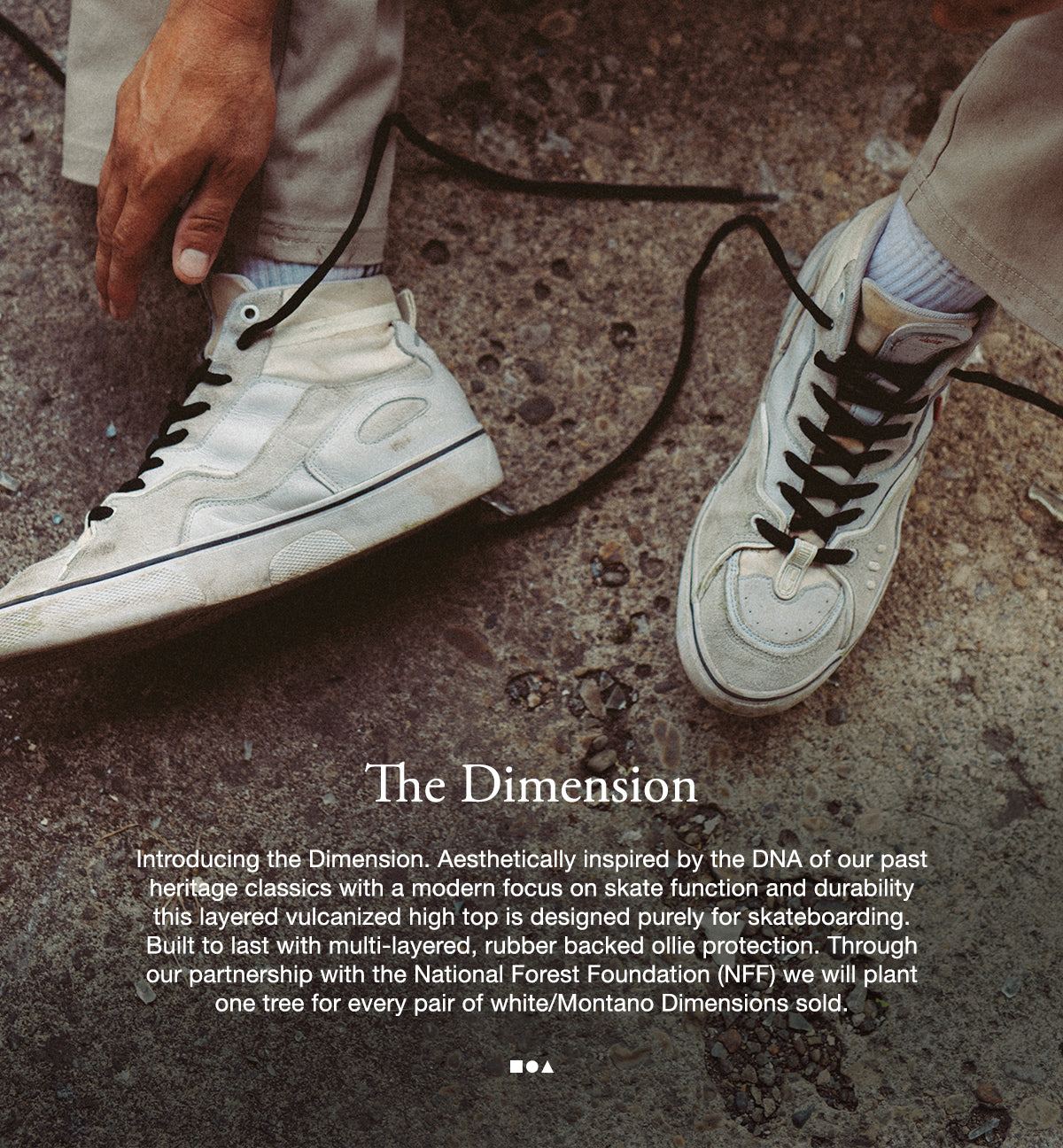 The Dimension