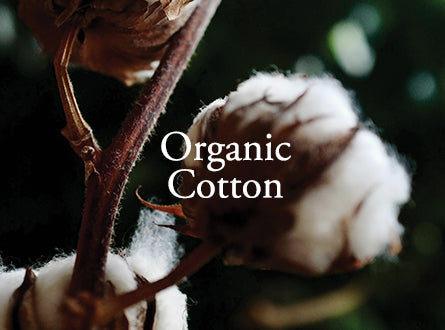 Organic Cotton Clothing