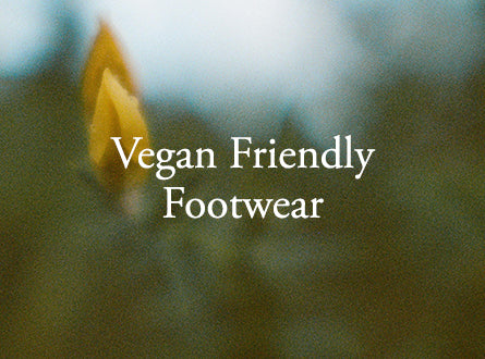 Vegan Skate Shoes